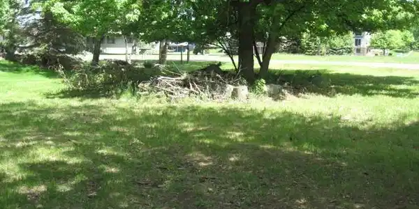 00 Running Deer