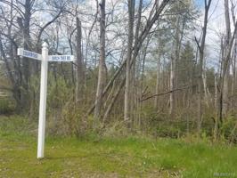 0 BIRCHTREE Road