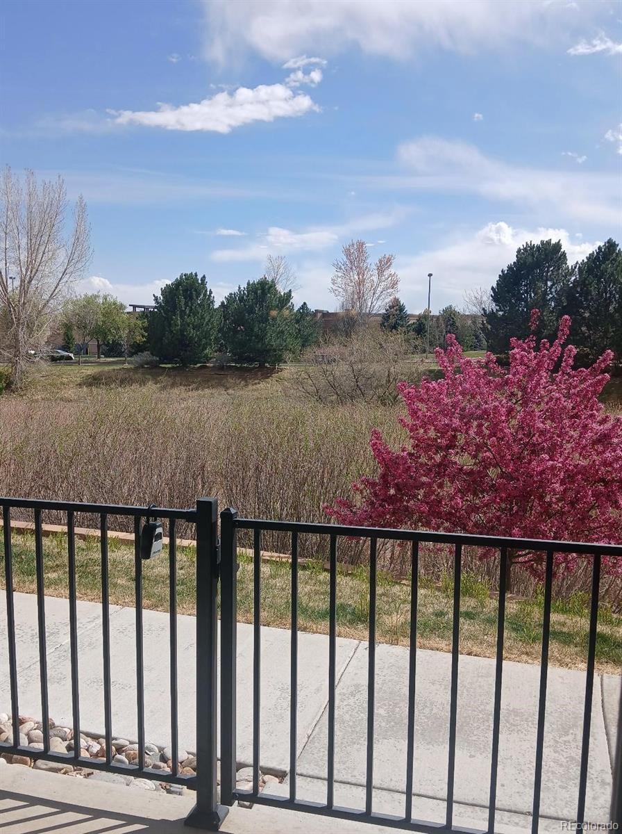 Image 4: 2nd View of Open Space from Pation