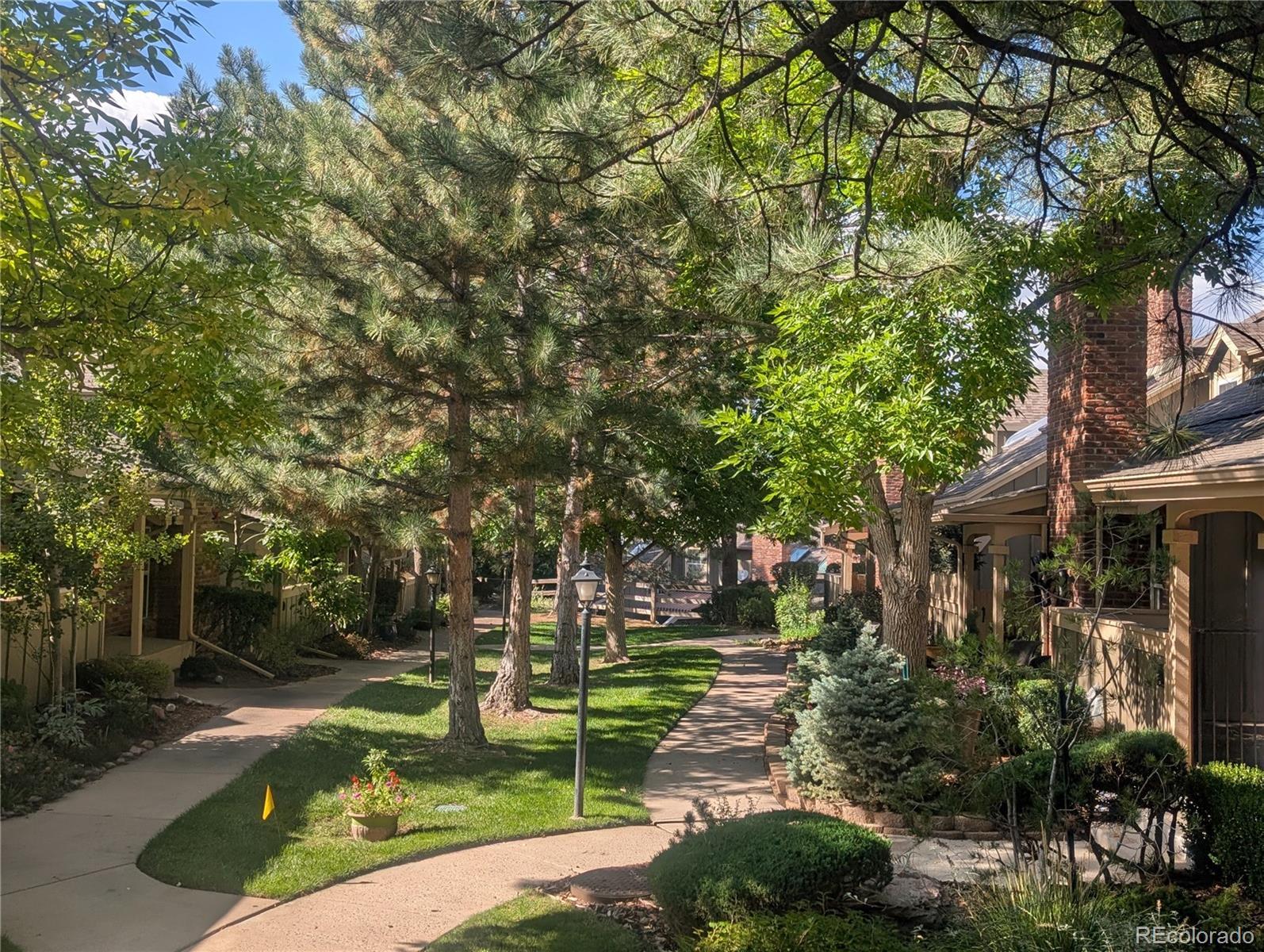 Image 3: 7751F fronts this Greenbelt, Sept 2025