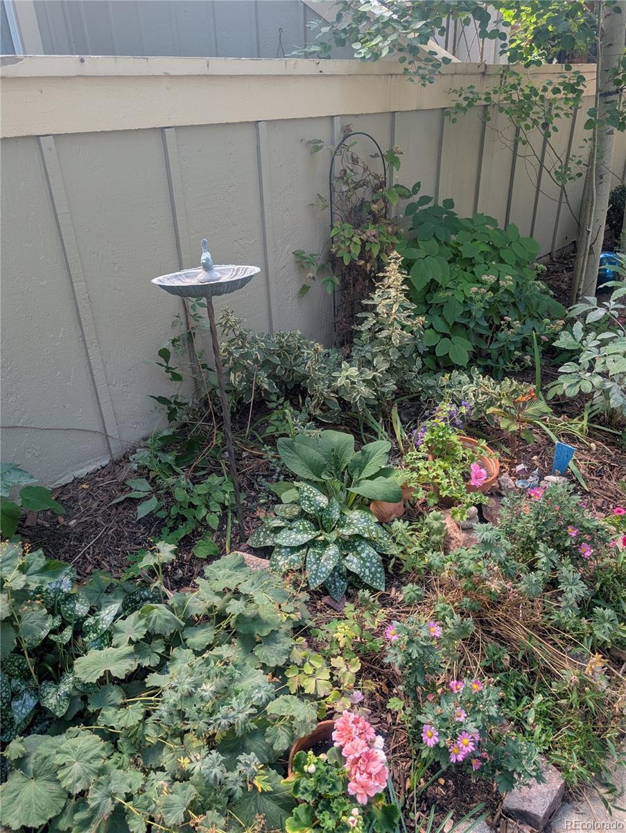 Image 4: 7751F Front Garden Bed, Sept 2025