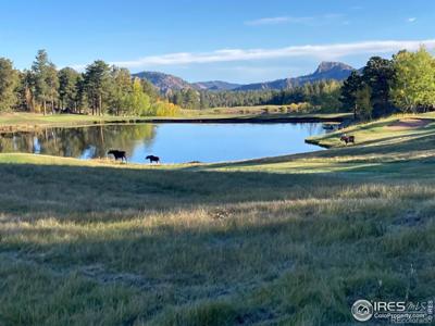 3020 Lake Arapahoe Court