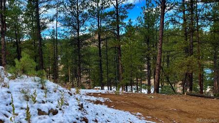 15126 N Pine Lake Place