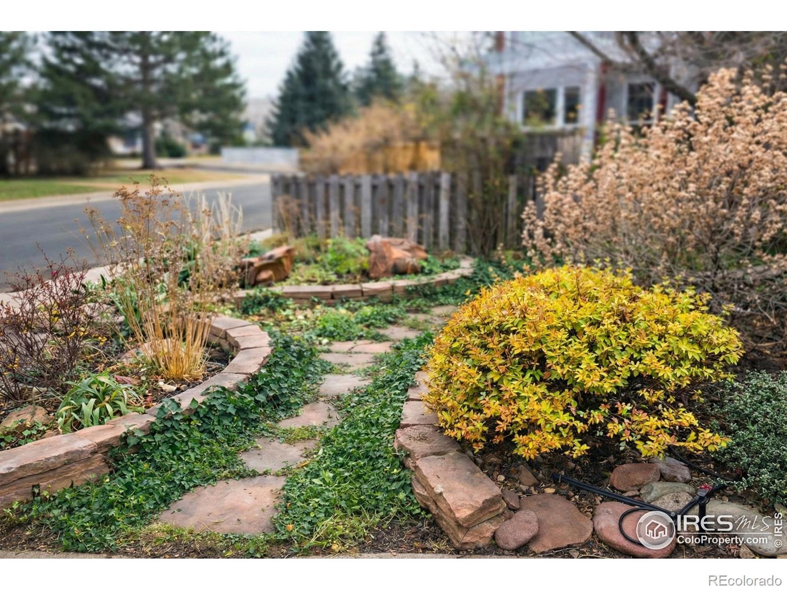 Image 4: front yard, garden beds, professionally landscaped