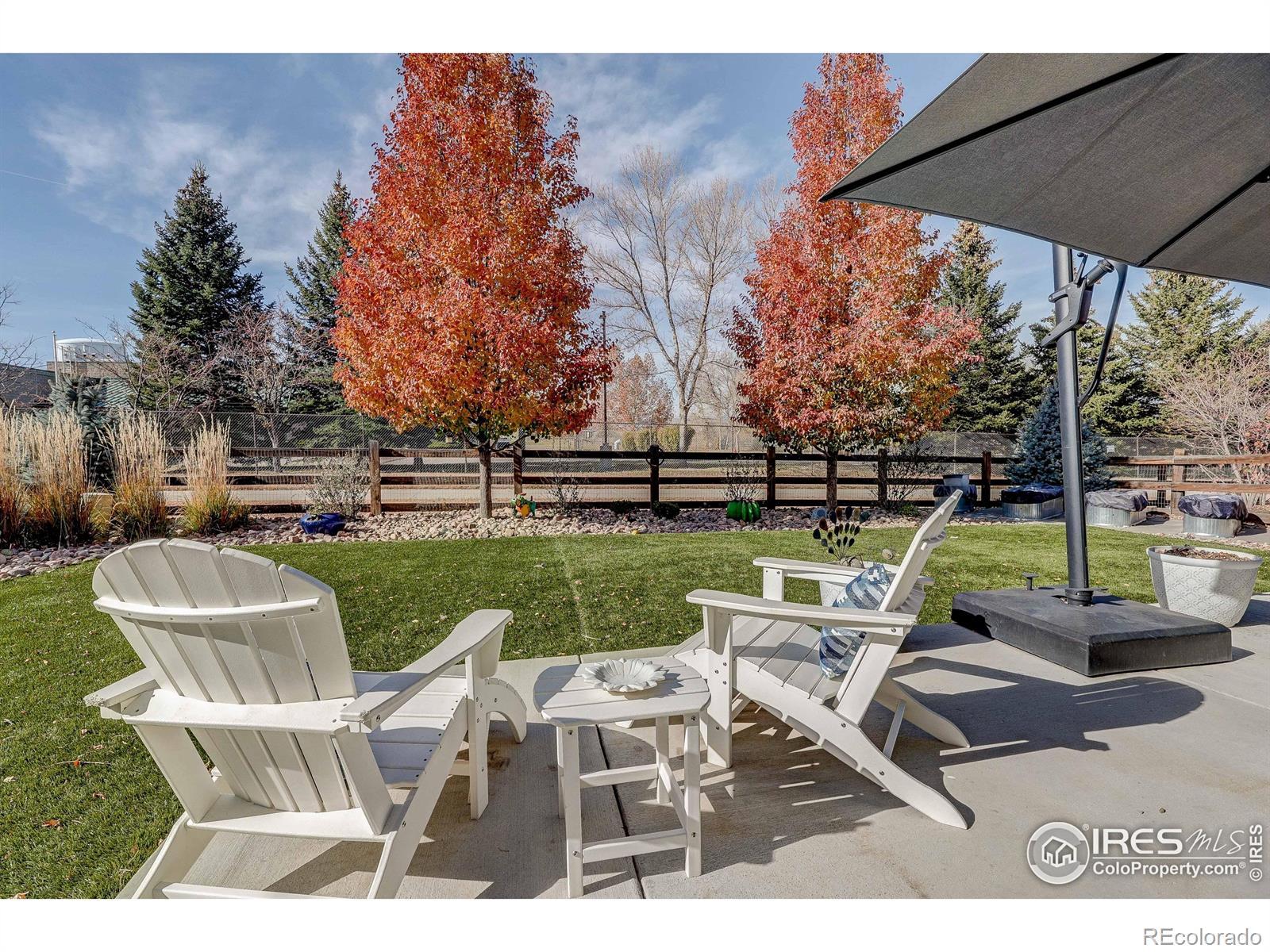 Image 4: .019 ACRES BACK YARD HAS LUSH PROFESSIONAL LANDSCAPING AND OVERSIZED CEMENT PATIO