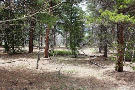 Lot 10 Pinon Circle