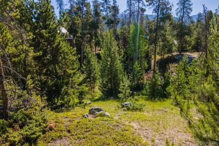 844 Shadow Mountain Drive