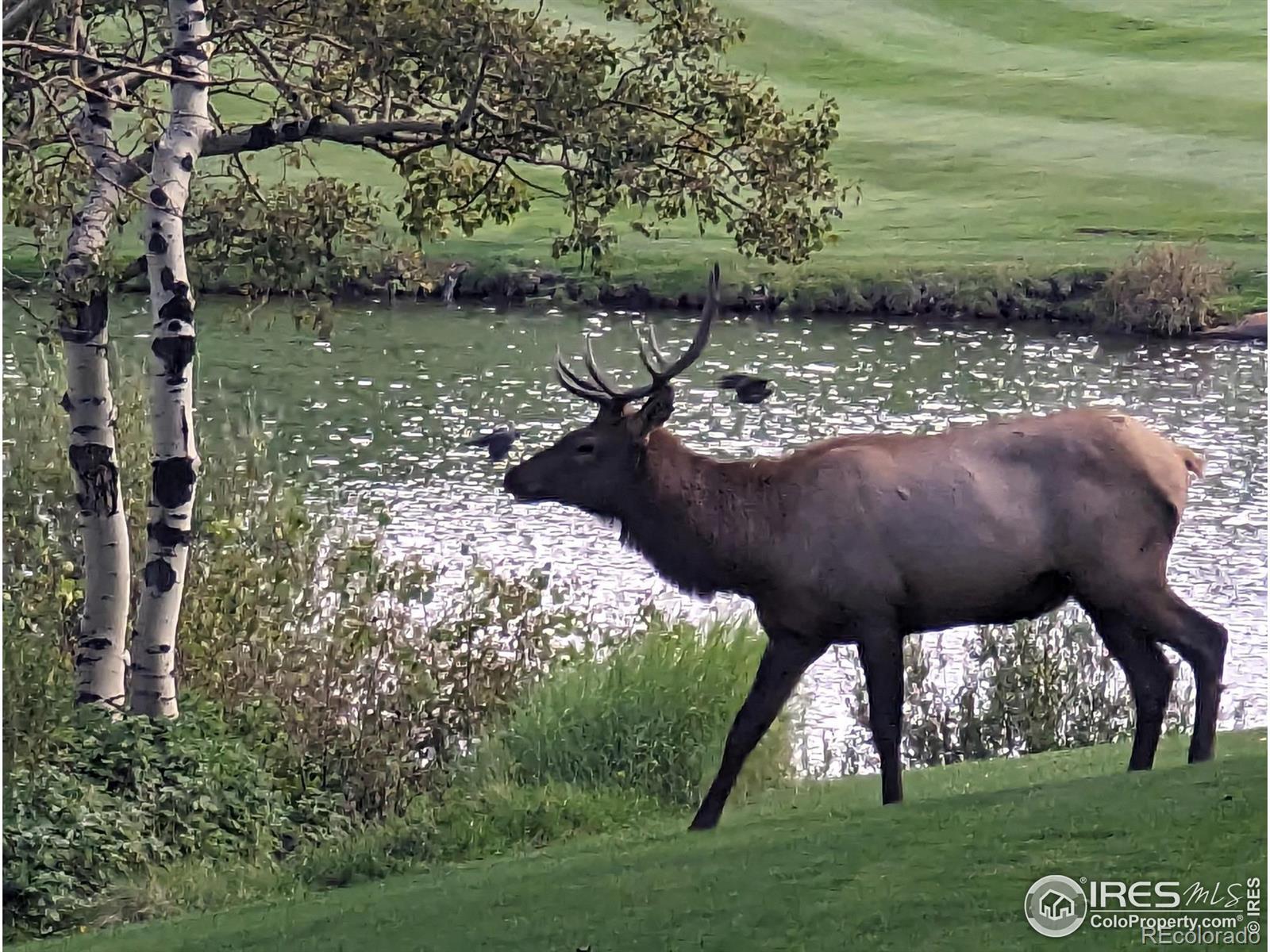 Image 3: Guest golfing Image 3: Guest golfing