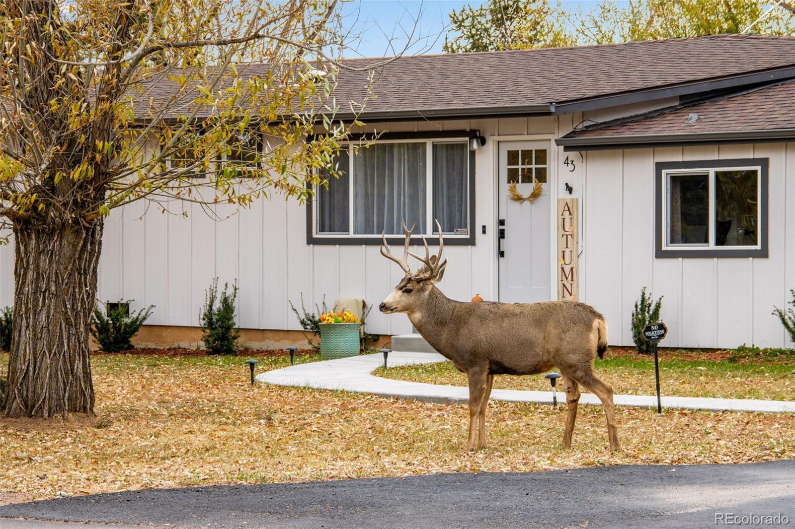 Image 4: Front Image 4: Front