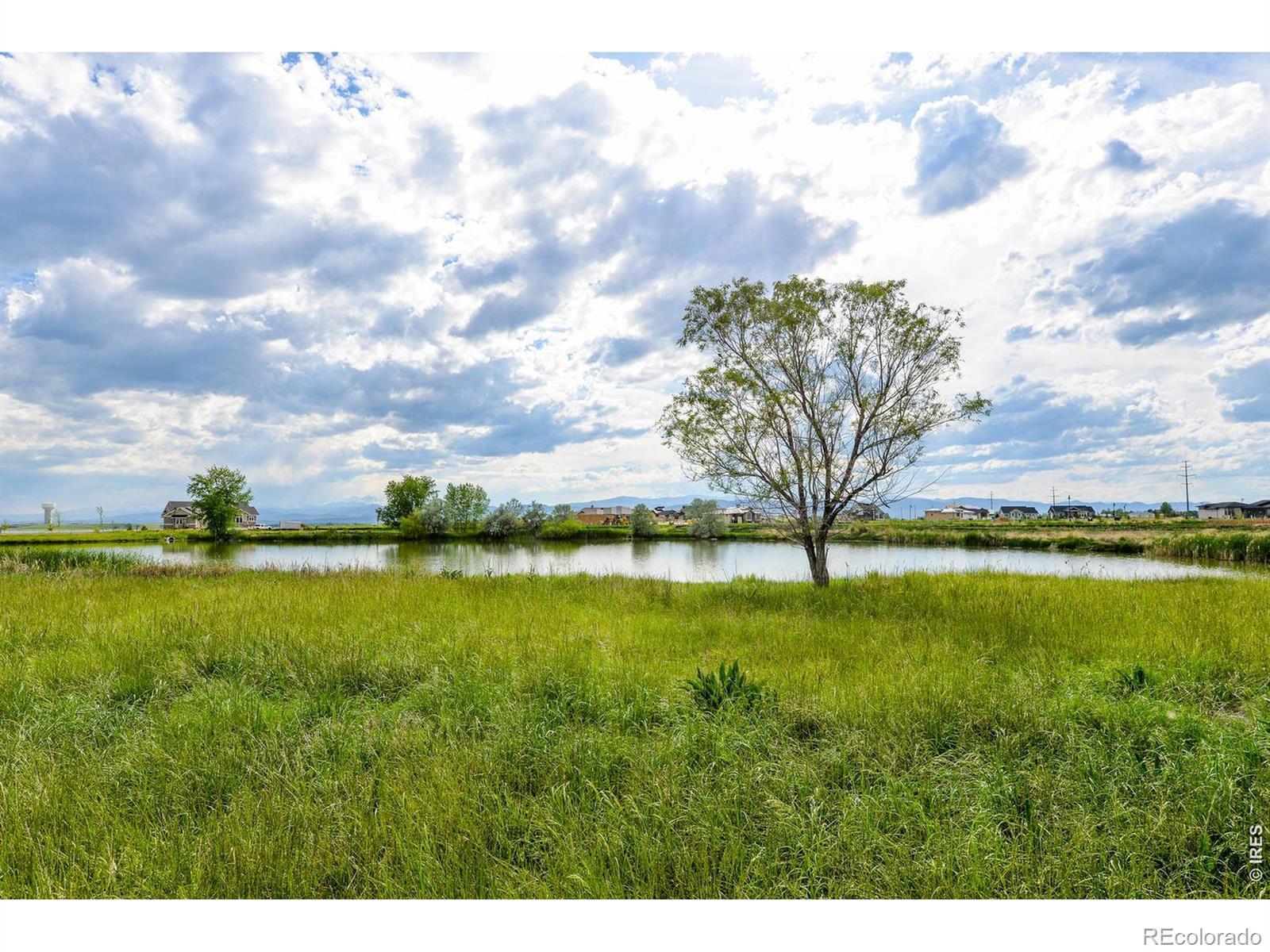Image 4: Charming ponds in the greenspace