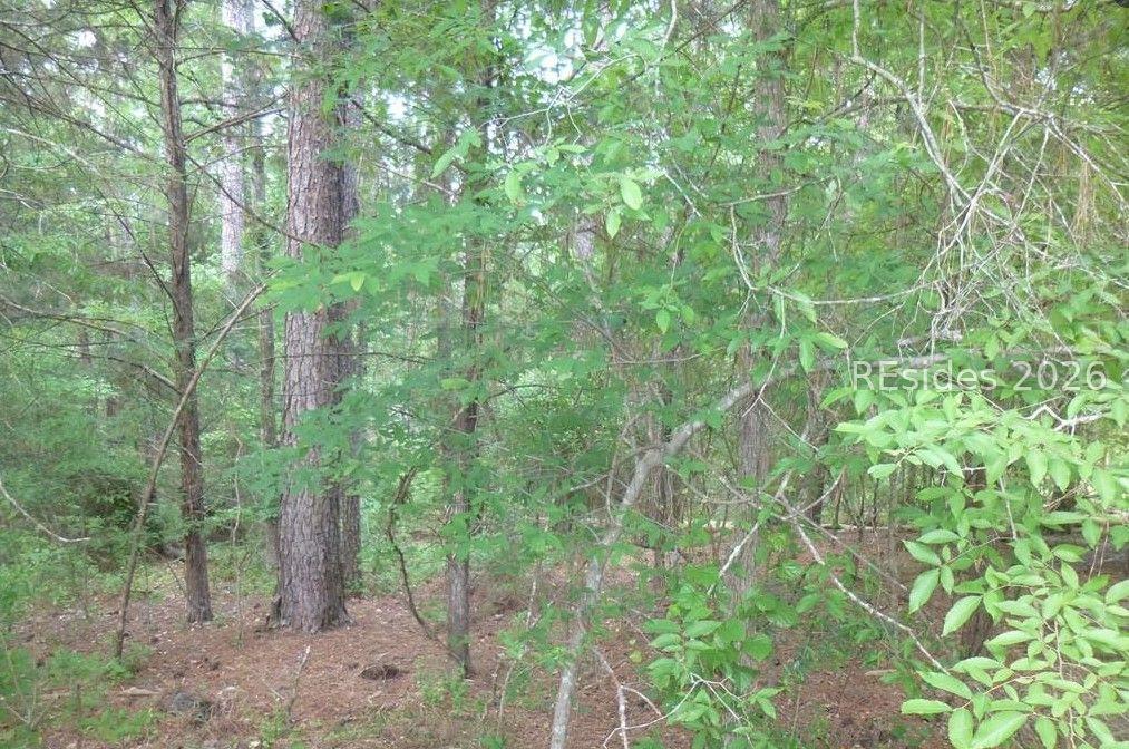 Image 4 Image 4
