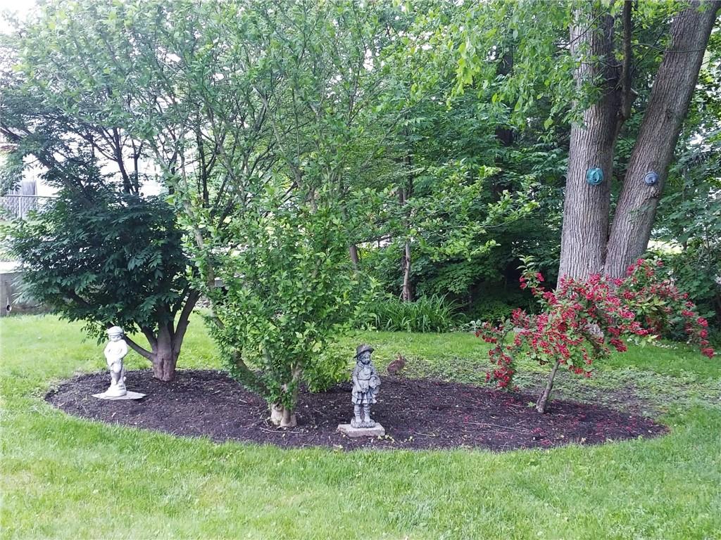 Image 3: Rear Yard