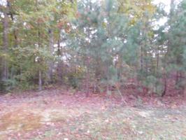 LOT 61 LAKE POINTE DRIVE