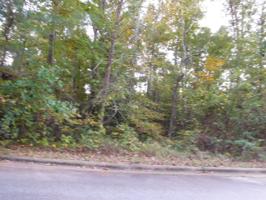 LOT 59 LAKE POINTE DRIVE