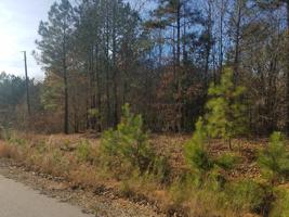 Lot 16 Canoe Creek