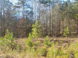 Lot 14 Canoe Creek