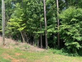 1 fox hollow
