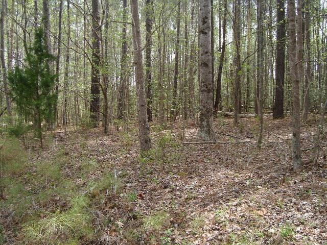 Image 1: Main View