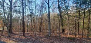 Lot 46B Buckhead Drive