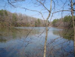 Lot 016 Barker Road