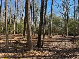 Lot 4 Oakwood Court