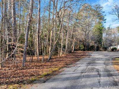 Chestnut Drive