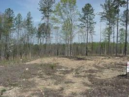Lot 146 Knotts Lane