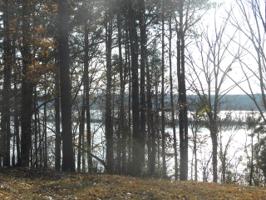 Lot 16 Starboard Lane