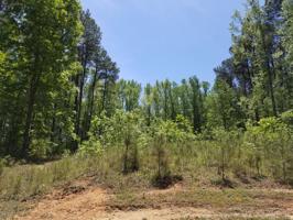 Lot 59 Country Club Drive