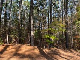 Lot 22 Dogwood Way