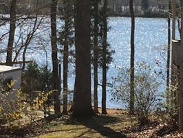 83 Fish trail