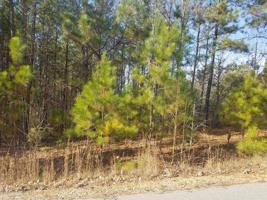 Lot 21 Canoe Creek
