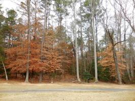 Lot 43F Fairway Ct