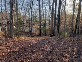 221 Fox Drive