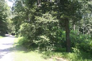 Lot 37 Fairview Terrace