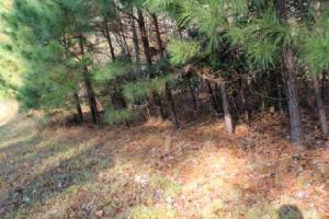 Lot 93 Merrymount Rd