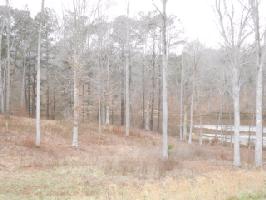 0 Canoe Creek Rd