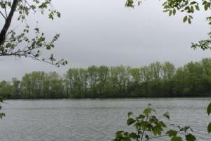 2 Boxwood Shores Drive