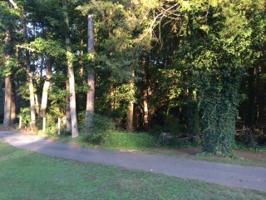Lot 16 Hwy 903