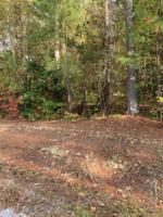Lot 37 Great Creek Dr