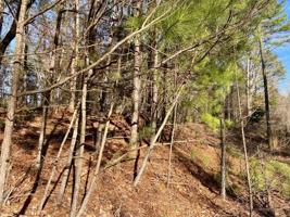 Lot 45 Valentine St.