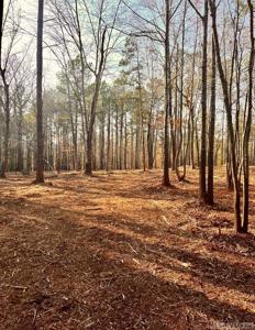 Lot 90 Occanecchi Trail