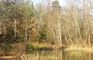 Lot 1 Portside Lane