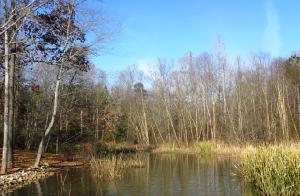 Lot 2 Portside Lane