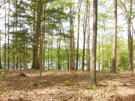 0 Roanoke Bend
