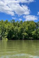 8 Boxwood Shores Drive