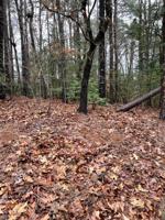 Lot 24 Chestnut Dr