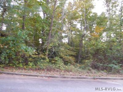 Lot 59 Lake Pointe Drive