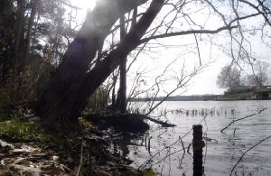 Lot 19 Starboard Lane