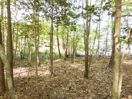 0 Mountain Rock Trail